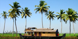 Kerala Tour