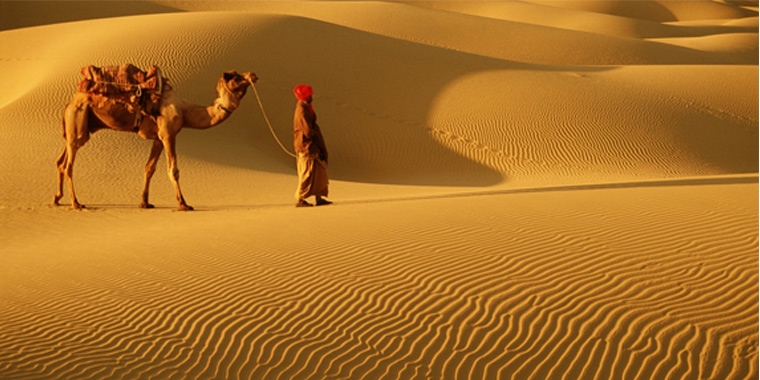 Rajasthan Tour Packages