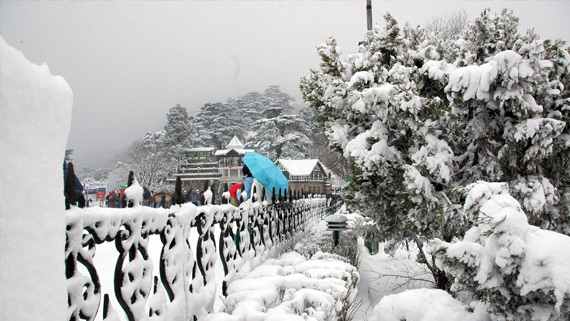 Shimla Kullu Manali Car Tour Package