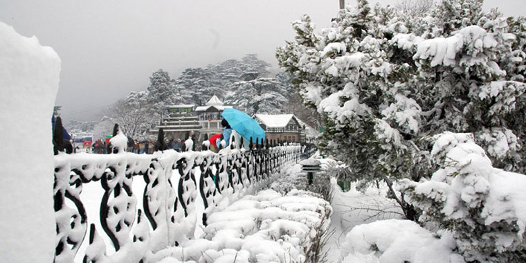 Shimla Kullu Manali Volvo Tour Package